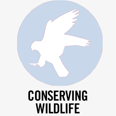 icon for wildlife sciences
